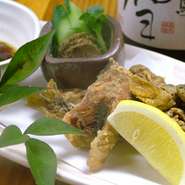 小ぶりの鮎を骨まで食べれるようカリっと揚げました、「うるか」を添えてお持ちします。