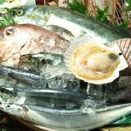 鮪・鯛・鮪ユッケ・鯛ユッケのグランドメニューと【本日のお刺身】で季節の鮮魚提供します。
