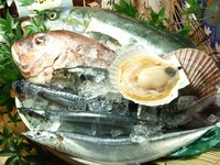 鮪・はまち・鯛・生サーモン・烏賊・甘海老のグランドメニューと【本日のお刺身】で季節の鮮魚提供します。