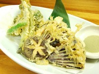 季節の天婦羅は「おすすめ」に表示してあります。