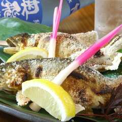 【郡上鮎】の塩焼き