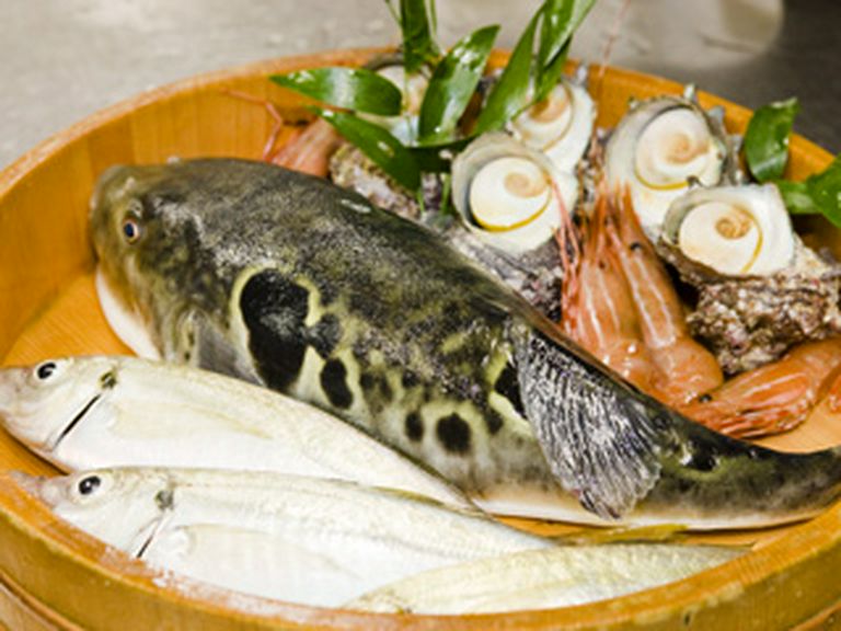 季節限定で高級食材の知多名産のトラフグがメニューに