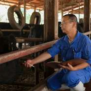 自分の牧場で生まれた仔牛をホルモン剤を使わずに肥育