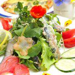 イワシとハーブのサラダ