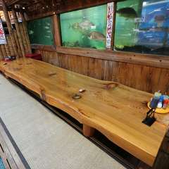 水槽が並ぶ、まるで水族館のような店内