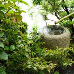 庭の景色も最高です。