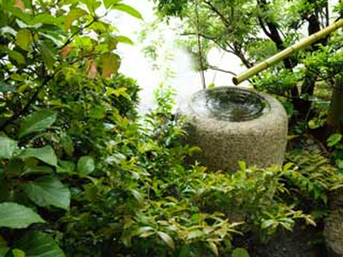 庭の景色も最高です。