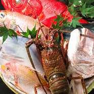 日本各地の漁港でその日に仕入れた新鮮な魚をご堪能ください！