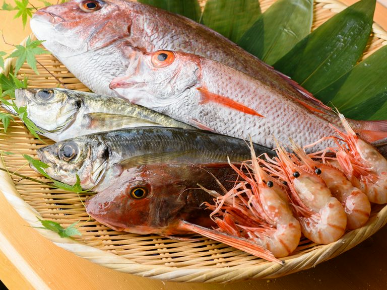 富山湾で獲れた旬の海の幸たち