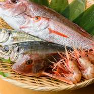 四季折々の富山湾の海の幸を、良い物を良い状態にて提供することを心がけて、お客様にご提供しております。お造りは、その日に獲れた新鮮な地魚をメインでお出ししております。ぜひ一度ご賞味ください。

