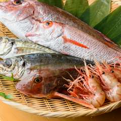 富山湾で獲れた旬の海の幸たち