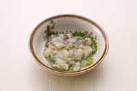 居酒屋の大定番