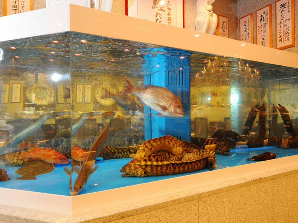 巨大ないけすは子供にも大人気。抜群の鮮度の秘訣です