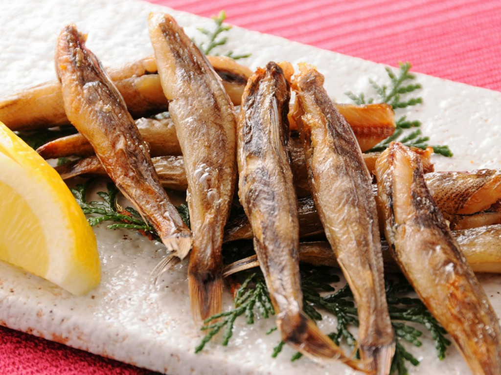 数量限定!! 土佐清水鯖(さば) 造り