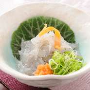 片口いわしの稚魚「生しらす」。
鮮度が落ちやすいため、高知以外ではめったに食べられない珍味です。