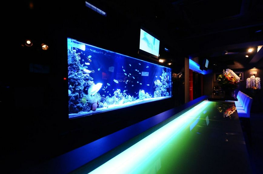 無邪気に漂う魚たちを眺められる。カウンター席で語らいを…