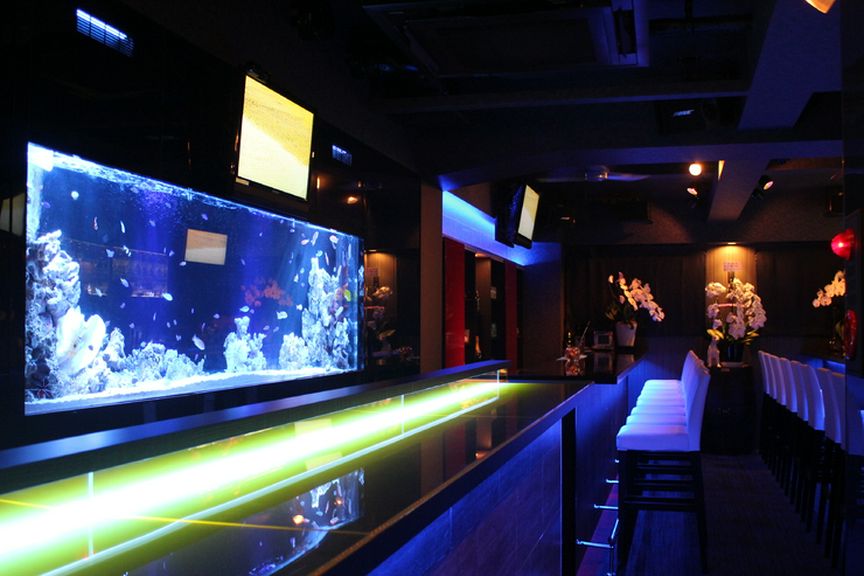 癒しの空間。水槽を眺めながらカウンターで一杯…