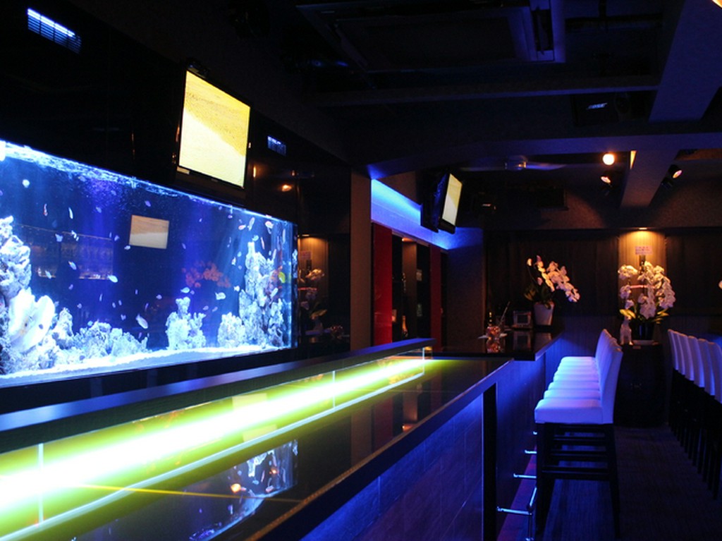 癒しの空間。水槽を眺めながらカウンターで一杯…