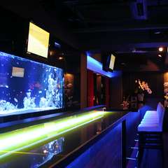 癒しの空間。水槽を眺めながらカウンターで一杯…