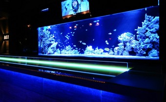 当店看板の大水槽。癒しの空間もイチオシポイントです。