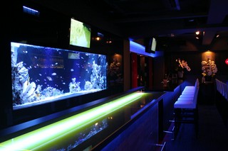 淡い光と無邪気に漂う魚たちを眺めて…