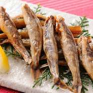 片口いわしの稚魚「生しらす」。
鮮度が落ちやすいため、高知以外ではめったに食べられない珍味です。