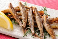 桂浜沖の深海で獲れる、目が青く光る魚。
脂のりが良くふんわりととろける白身が絶品です。