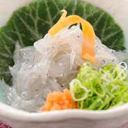 片口いわしの稚魚「生しらす」。
鮮度が落ちやすいため、高知以外ではめったに食べられない珍味です。
