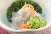 片口いわしの稚魚「生しらす」。
鮮度が落ちやすいため、高知以外ではめったに食べられない珍味です。