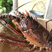 大きさによって、金額変動いたします。
前々日までにお申込み下さい
