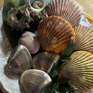 オススメコースの干物を長太郎貝やサザエにアップグレード♡

[お料理内容例]
お刺身盛り合わせ
手作り豆腐
焼肉盛り合わせ
貝盛り合わせ
月変わり鍋
ホタテご飯
お漬物盛り合わせ