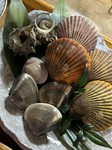 オススメコースの干物を長太郎貝やサザエにアップグレード♡

[お料理内容例]
お刺身盛り合わせ
手作り豆腐
焼肉盛り合わせ
貝盛り合わせ
月変わり鍋
ホタテご飯
お漬物盛り合わせ
