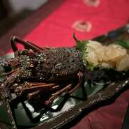 豪華⭐︎当日仕入れた活伊勢海老のお造りなど♡

[お料理内容例]
お刺身盛り合わせ
伊勢海老お刺身
特上黒毛和牛焼肉
貝盛り合わせ
伊勢海老具足汁
ホタテご飯
お漬物盛り合わせ