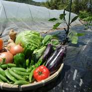 料理には自家栽培の野菜を使用しています。