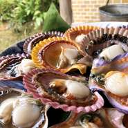 ■こちらのコースは2名様より承ります。1グループ様統一でのご注文をお願いします。

■前日までにご予約をお願いします。

■ご予約の際は「ヒトサラを見て」とご予約の旨を
お伝えください。

■少人数から大人数までご予算等、お気軽にご相談ください。

■貸切ご相談に応じます。

■その他、特別コースにつきましては、用途に応じますので
お気軽にご相談ください。