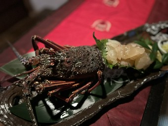 豪華⭐︎当日仕入れた活伊勢海老をお造りでお召し上がり頂けます♪その後の具足汁も♡