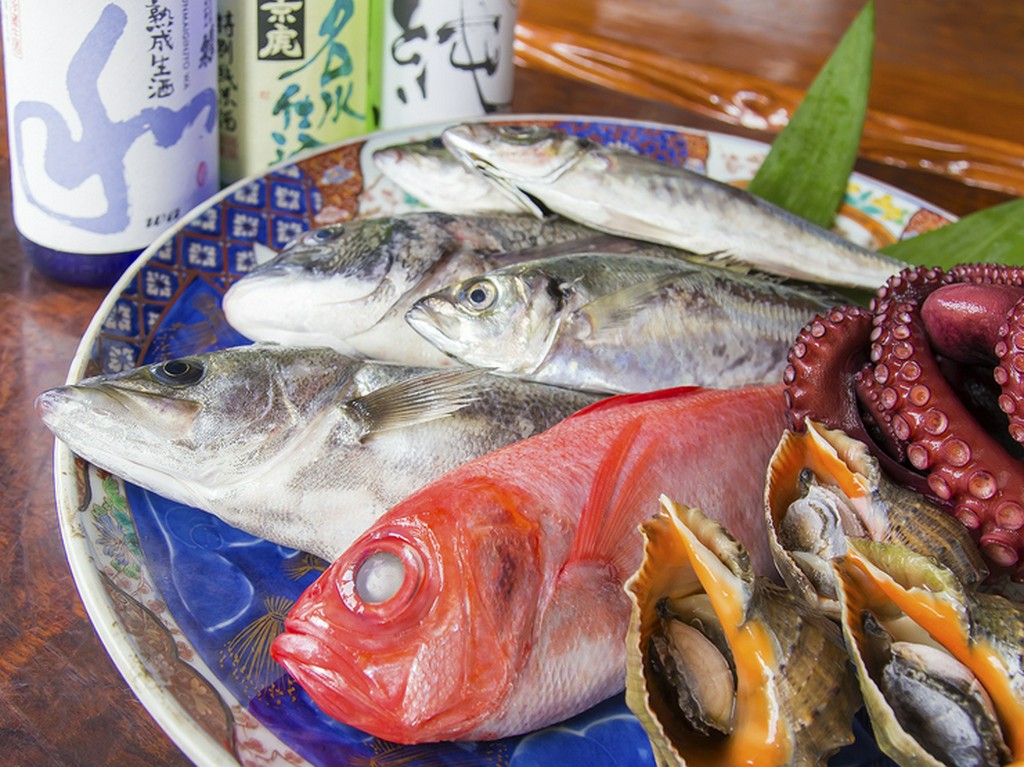 魚の宝庫、浜松で獲れた新鮮な魚介類