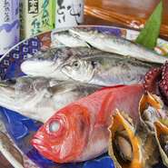 鮮魚は遠州灘や浜名湖がある浜松で獲れた贅沢もの。その日仕入れた魚介類でお造りする刺盛りは、定食にも付いています。