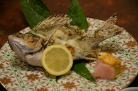 その日に仕入れた、鮮度抜群の旬の魚の塩焼きです。
値段は魚の種類や大きさによって変わりますが、1200円（税込）からになります。
