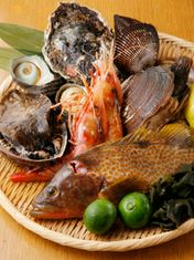 Sushi Live Seafood Kokoro