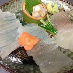 水槽あります！「イカの街　函館」を存分に楽しめる『活イカ』