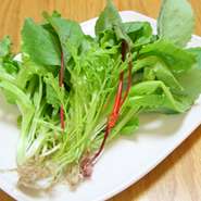 水耕栽培のお野菜を使ったお料理は、安心、安全