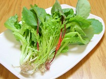 水耕栽培のお野菜を使ったお料理は、安心、安全