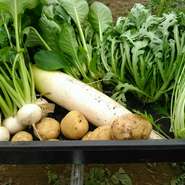 旬の食材と全国から取り寄せた銘酒の数々は相性抜群！
春の香りを楽しんでください。