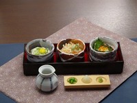 かき揚げ天、山菜おろし、山かけ