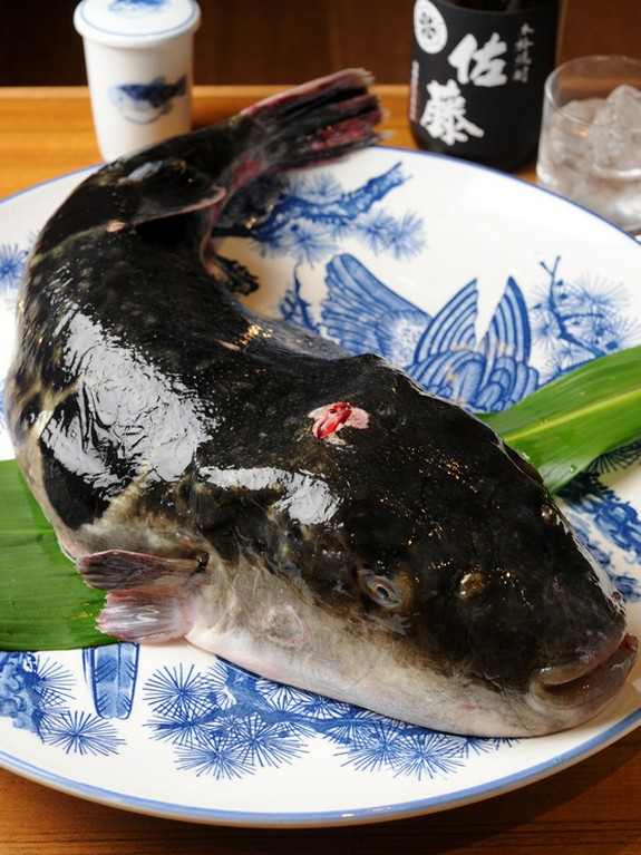 極上の天然ふぐも味わえます。
