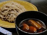 鴨つけそば