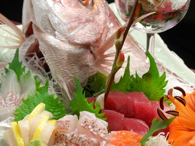 市場直送の鮮魚達