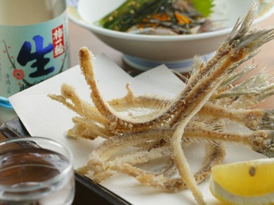 千葉を代表する地酒「梅一輪」は千葉の食材に合わせた味わい