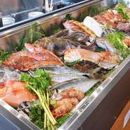 お客様に目でも楽しんで頂けるようにカウンターには2mの大きなネタケースを置いています。そこにその日に入った色とりどりの魚を並べてお客様自身が目で見て選んで頂いた魚でお好みの料理をお作りさせて頂きます。